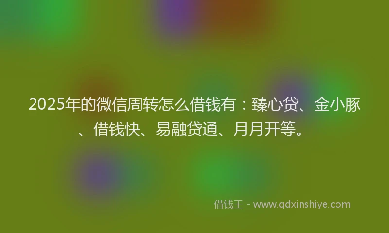 2025年的微信周转怎么借钱有：臻心贷、金小豚、借钱快、易融贷通、月月开等。