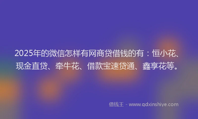 2025年的微信怎样有网商贷借钱的有：恒小花、现金直贷、牵牛花、借款宝速贷通、鑫享花等。