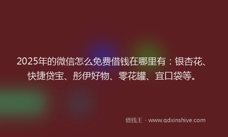 2025年的微信怎么免费借钱在哪里有：银杏花、快捷贷宝、彤伊好物、零花罐、宜口袋等。