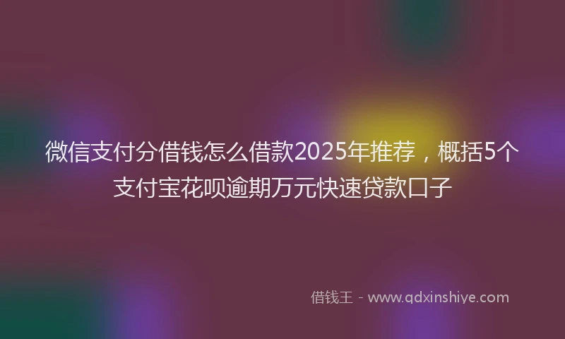 微信支付分借钱怎么借款2025年推荐，概括5个支付宝花呗逾期万元快速贷款口子
