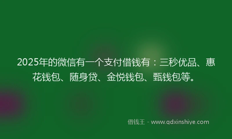 2025年的微信有一个支付借钱有：三秒优品、惠花钱包、随身贷、金悦钱包、甄钱包等。