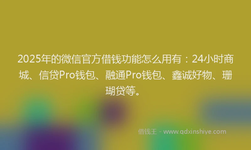 2025年的微信官方借钱功能怎么用有：24小时商城、信贷Pro钱包、融通Pro钱包、鑫诚好物、珊瑚贷等。