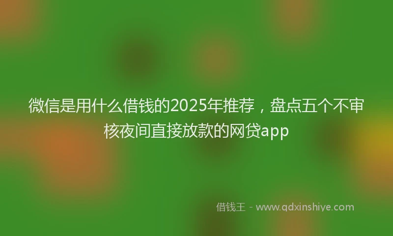 微信是用什么借钱的2025年推荐，盘点五个不审核夜间直接放款的网贷app