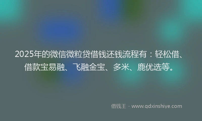 2025年的微信微粒贷借钱还钱流程有：轻松借、借款宝易融、飞融金宝、多米、鹿优选等。