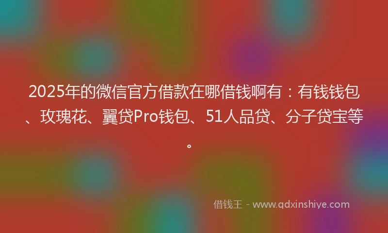 2025年的微信官方借款在哪借钱啊有：有钱钱包、玫瑰花、翼贷Pro钱包、51人品贷、分子贷宝等。
