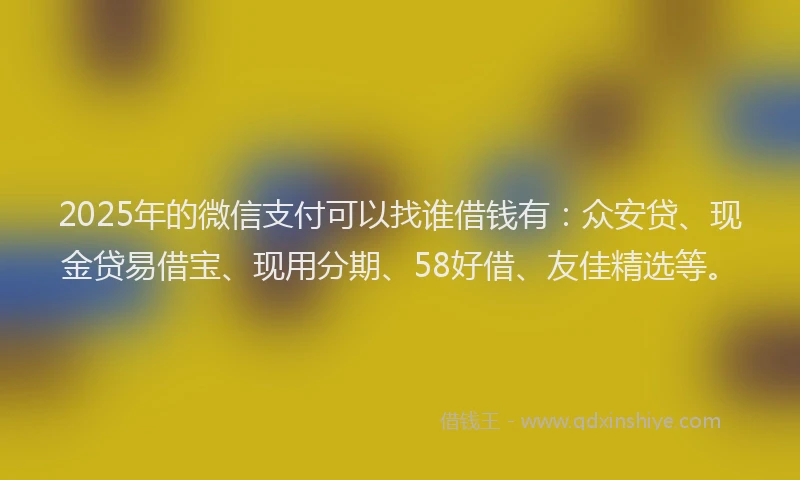 2025年的微信支付可以找谁借钱有：众安贷、现金贷易借宝、现用分期、58好借、友佳精选等。