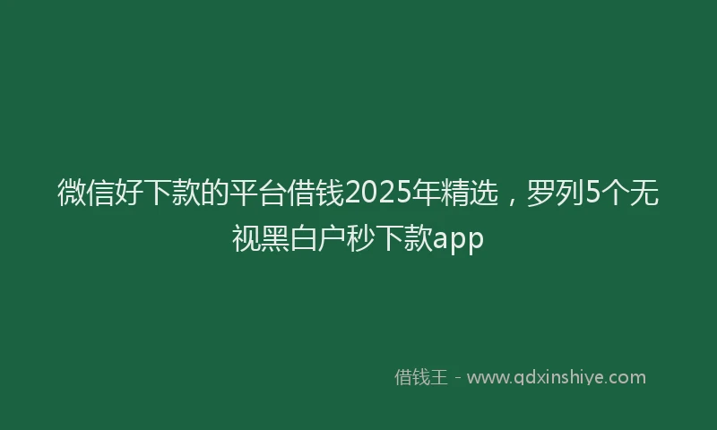 微信好下款的平台借钱2025年精选，罗列5个无视黑白户秒下款app