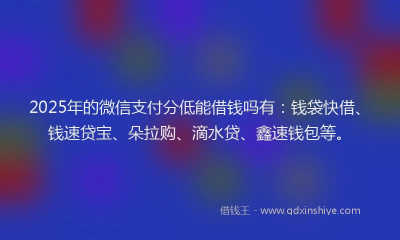 2025年的微信支付分低能借钱吗有：钱袋快借、钱速贷宝、朵拉购、滴水贷、鑫速钱包等。