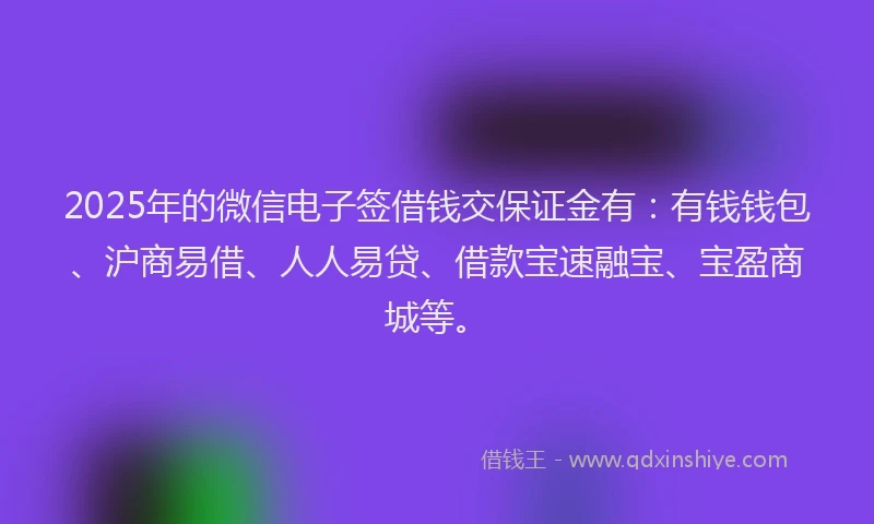 2025年的微信电子签借钱交保证金有：有钱钱包、沪商易借、人人易贷、借款宝速融宝、宝盈商城等。