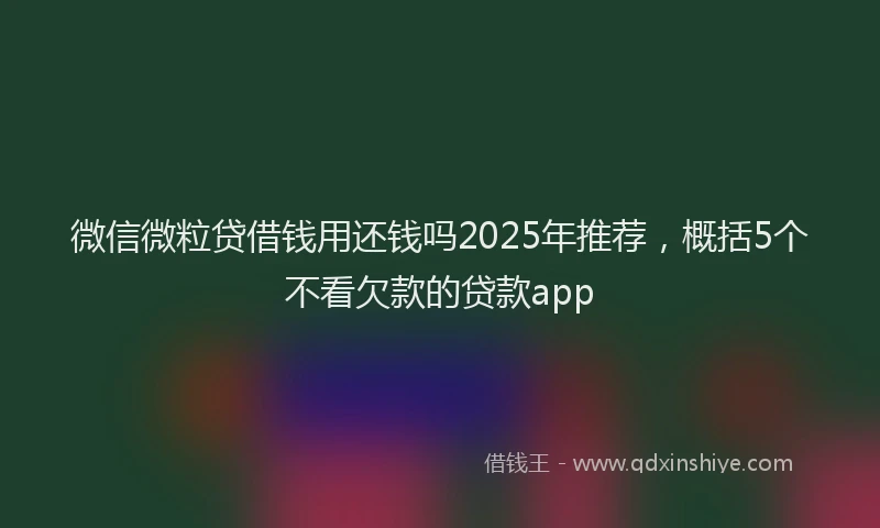 微信微粒贷借钱用还钱吗2025年推荐，概括5个不看欠款的贷款app
