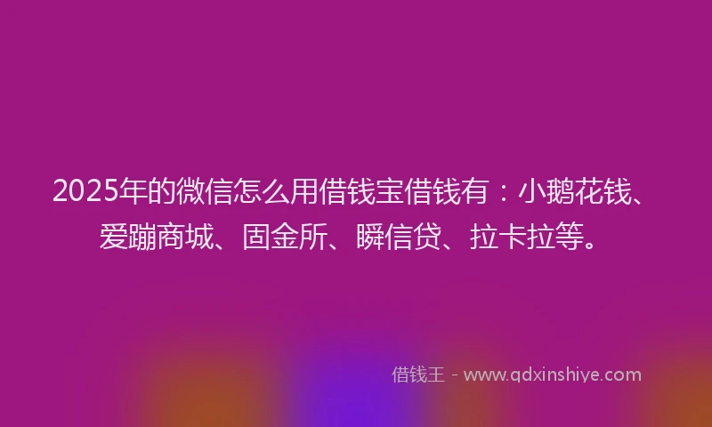 2025年的微信怎么用借钱宝借钱有：小鹅花钱、爱蹦商城、固金所、瞬信贷、拉卡拉等。
