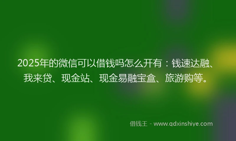 2025年的微信可以借钱吗怎么开有：钱速达融、我来贷、现金站、现金易融宝盒、旅游购等。