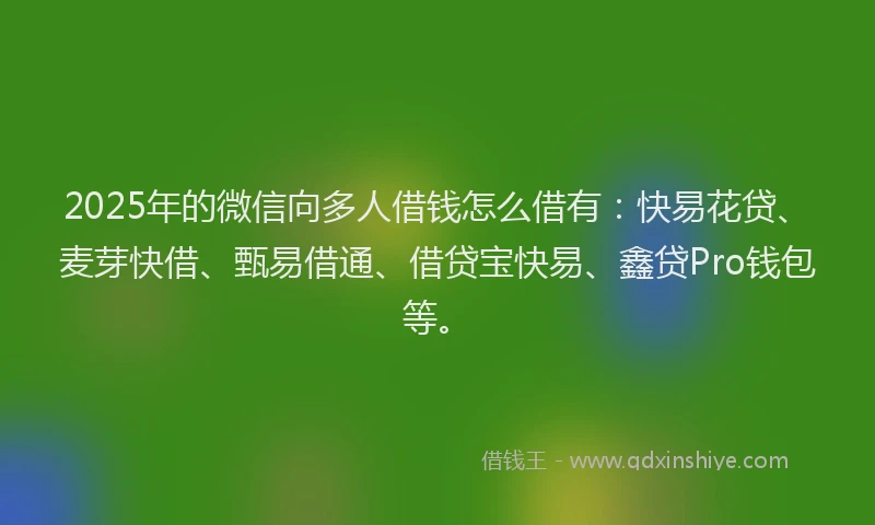 2025年的微信向多人借钱怎么借有：快易花贷、麦芽快借、甄易借通、借贷宝快易、鑫贷Pro钱包等。