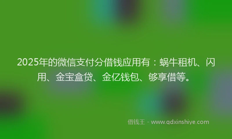 2025年的微信支付分借钱应用有：蜗牛租机、闪用、金宝盒贷、金亿钱包、够享借等。
