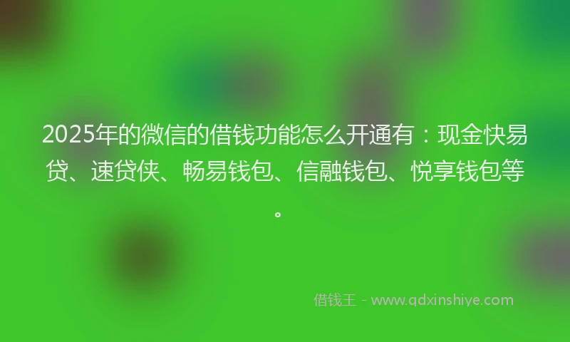 2025年的微信的借钱功能怎么开通有：现金快易贷、速贷侠、畅易钱包、信融钱包、悦享钱包等。