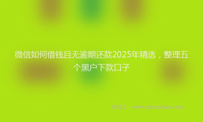 微信如何借钱且无逾期还款2025年精选，整理五个黑户下款口子