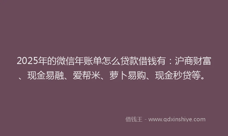 2025年的微信年账单怎么贷款借钱有：沪商财富、现金易融、爱帮米、萝卜易购、现金秒贷等。