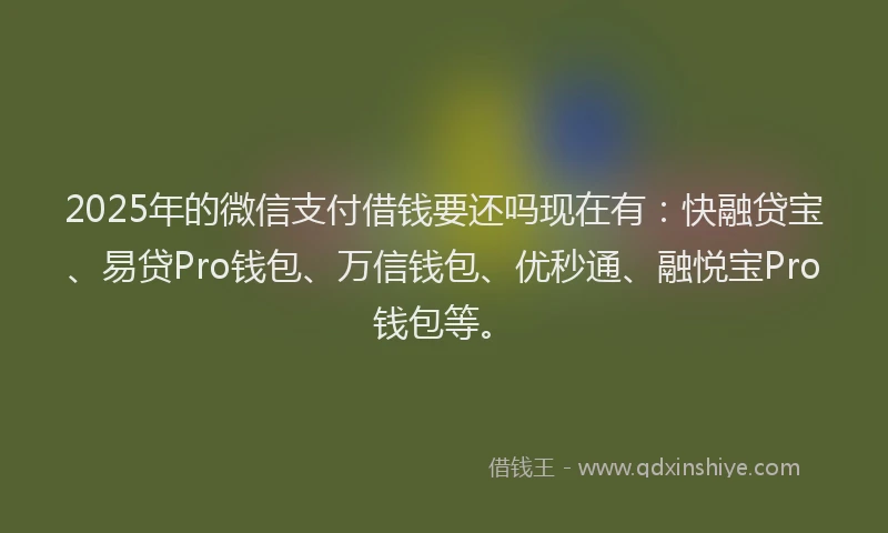 2025年的微信支付借钱要还吗现在有：快融贷宝、易贷Pro钱包、万信钱包、优秒通、融悦宝Pro钱包等。