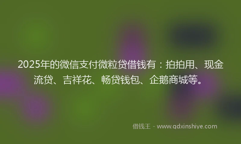 2025年的微信支付微粒贷借钱有：拍拍用、现金流贷、吉祥花、畅贷钱包、企鹅商城等。