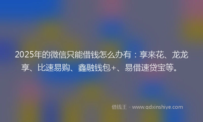 2025年的微信只能借钱怎么办有：享来花、龙龙享、比速易购、鑫融钱包+、易借速贷宝等。