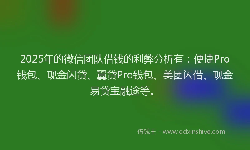 2025年的微信团队借钱的利弊分析有：便捷Pro钱包、现金闪贷、翼贷Pro钱包、美团闪借、现金易贷宝融途等。