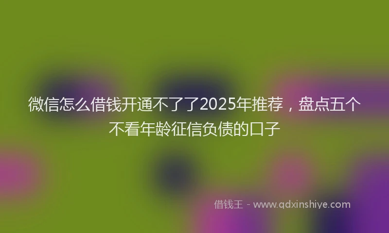 微信怎么借钱开通不了了2025年推荐，盘点五个不看年龄征信负债的口子