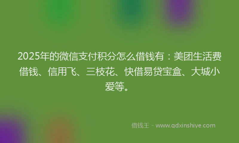 2025年的微信支付积分怎么借钱有：美团生活费借钱、信用飞、三枝花、快借易贷宝盒、大城小爱等。