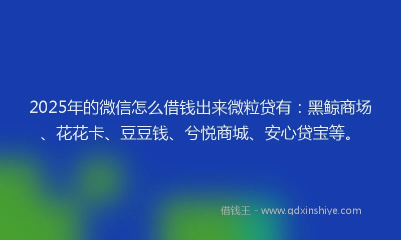 2025年的微信怎么借钱出来微粒贷有：黑鲸商场、花花卡、豆豆钱、兮悦商城、安心贷宝等。