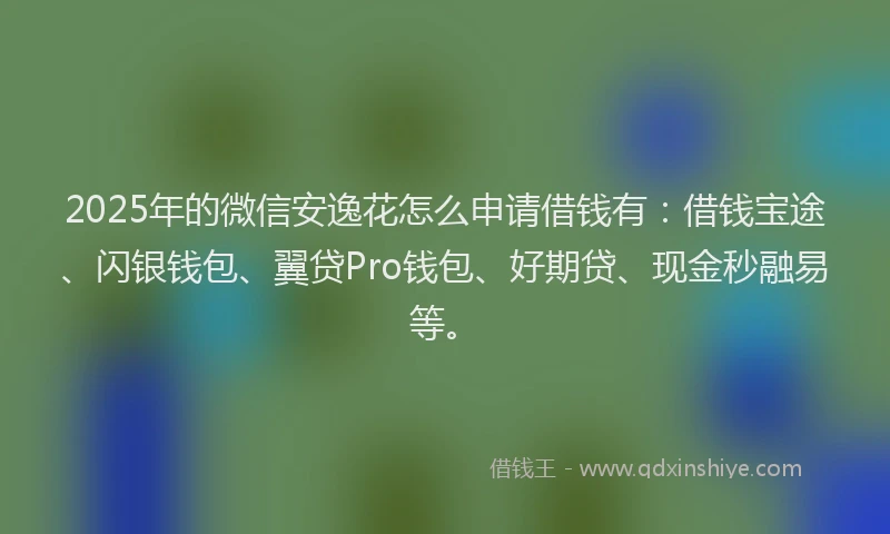 2025年的微信安逸花怎么申请借钱有：借钱宝途、闪银钱包、翼贷Pro钱包、好期贷、现金秒融易等。