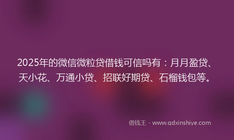 2025年的微信微粒贷借钱可信吗有：月月盈贷、天小花、万通小贷、招联好期贷、石榴钱包等。