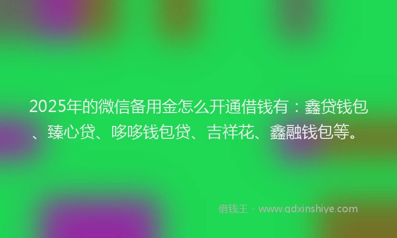 2025年的微信备用金怎么开通借钱有：鑫贷钱包、臻心贷、哆哆钱包贷、吉祥花、鑫融钱包等。