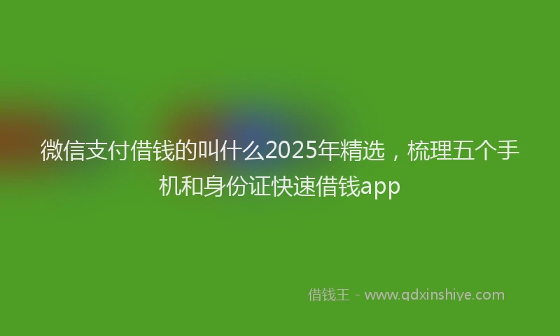 微信支付借钱的叫什么2025年精选，梳理五个手机和身份证快速借钱app