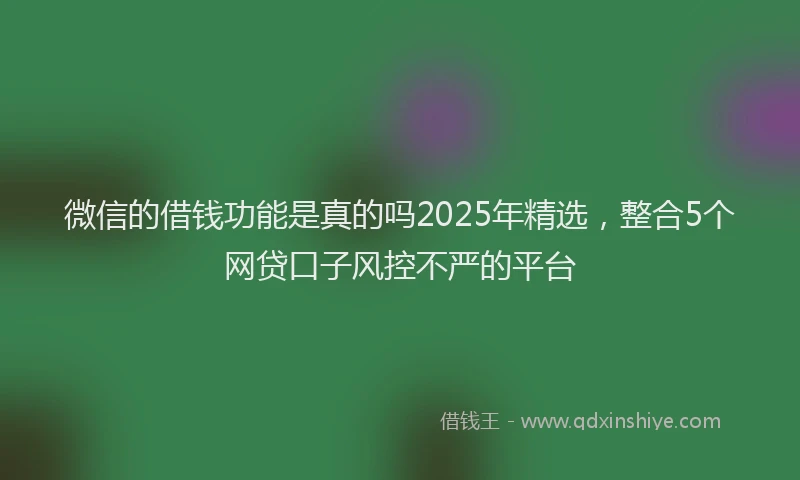 微信的借钱功能是真的吗2025年精选，整合5个网贷口子风控不严的平台