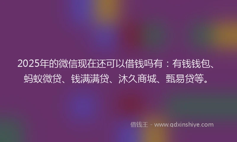 2025年的微信现在还可以借钱吗有：有钱钱包、蚂蚁微贷、钱满满贷、沐久商城、甄易贷等。