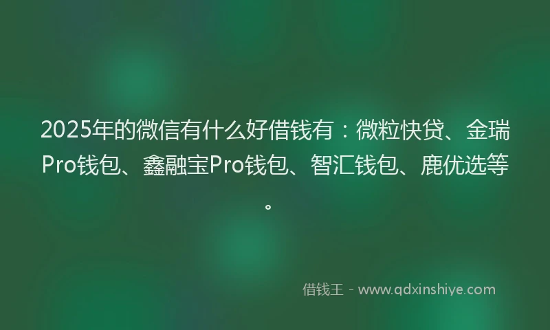 2025年的微信有什么好借钱有：微粒快贷、金瑞Pro钱包、鑫融宝Pro钱包、智汇钱包、鹿优选等。