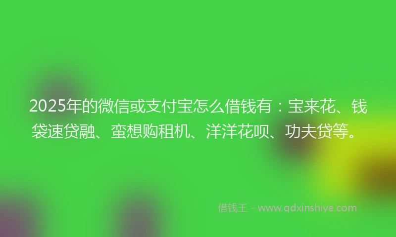 2025年的微信或支付宝怎么借钱有：宝来花、钱袋速贷融、蛮想购租机、洋洋花呗、功夫贷等。