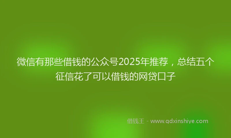 微信有那些借钱的公众号2025年推荐，总结五个征信花了可以借钱的网贷口子