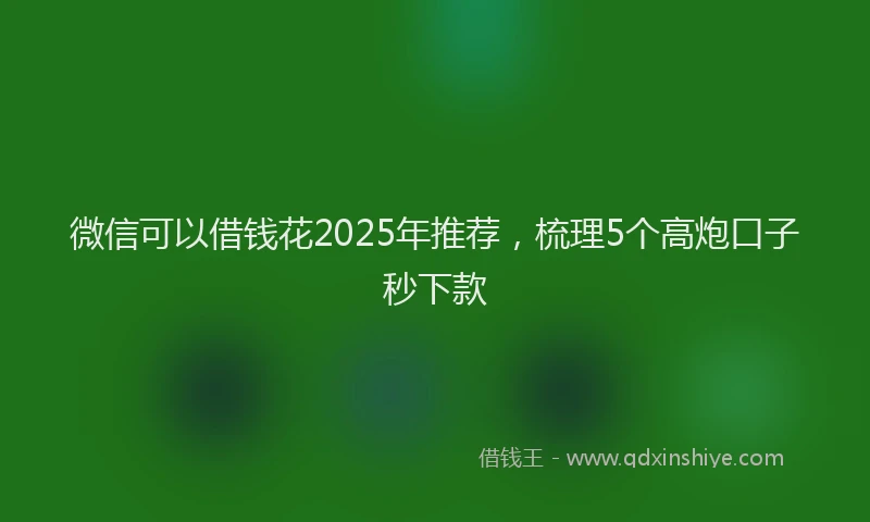 微信可以借钱花2025年推荐，梳理5个高炮口子秒下款