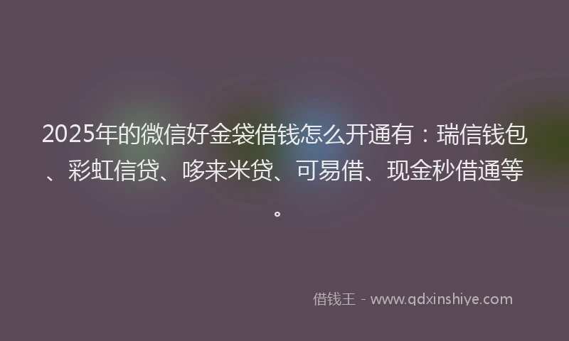 2025年的微信好金袋借钱怎么开通有：瑞信钱包、彩虹信贷、哆来米贷、可易借、现金秒借通等。