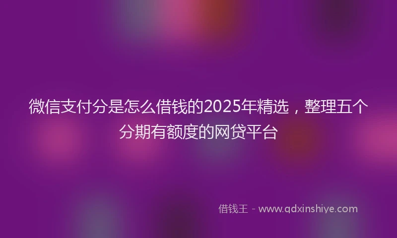 微信支付分是怎么借钱的2025年精选，整理五个分期有额度的网贷平台
