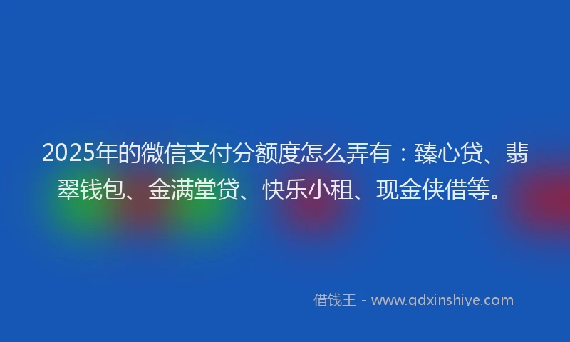 2025年的微信支付分额度怎么弄有：臻心贷、翡翠钱包、金满堂贷、快乐小租、现金侠借等。