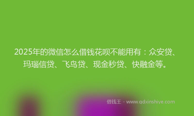 2025年的微信怎么借钱花呗不能用有：众安贷、玛瑙信贷、飞鸟贷、现金秒贷、快融金等。