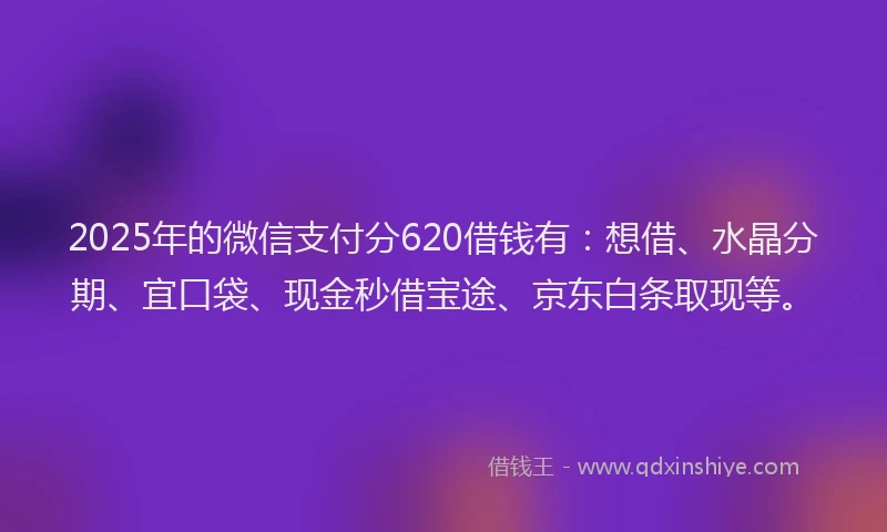 2025年的微信支付分620借钱有：想借、水晶分期、宜口袋、现金秒借宝途、京东白条取现等。