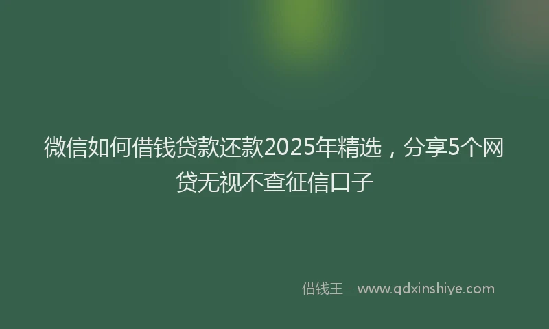 微信如何借钱贷款还款2025年精选，分享5个网贷无视不查征信口子