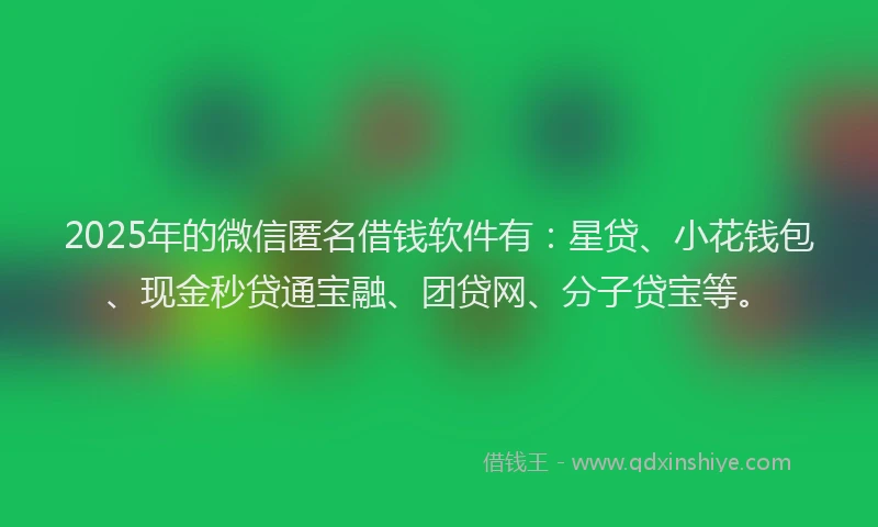 2025年的微信匿名借钱软件有：星贷、小花钱包、现金秒贷通宝融、团贷网、分子贷宝等。