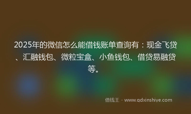 2025年的微信怎么能借钱账单查询有：现金飞贷、汇融钱包、微粒宝盒、小鱼钱包、借贷易融贷等。