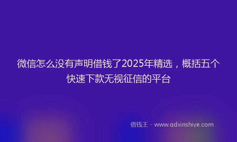 微信怎么没有声明借钱了2025年精选，概括五个快速下款无视征信的平台