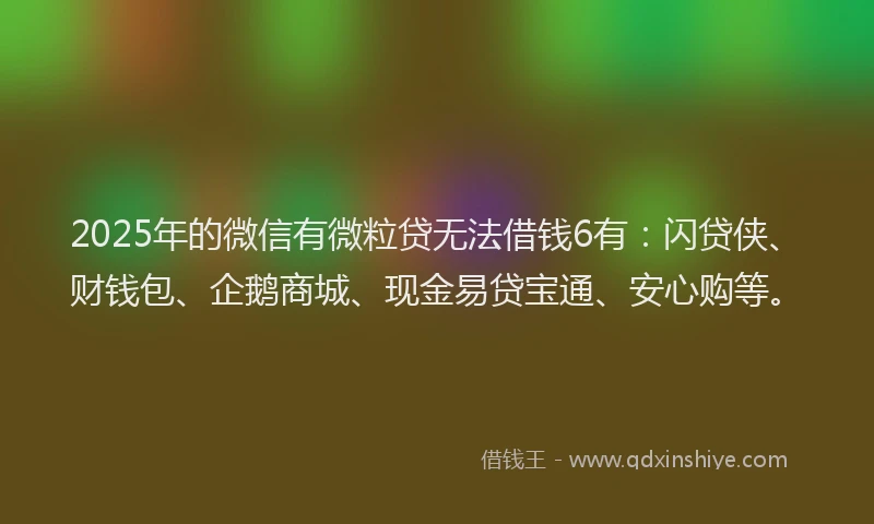 2025年的微信有微粒贷无法借钱6有：闪贷侠、财钱包、企鹅商城、现金易贷宝通、安心购等。