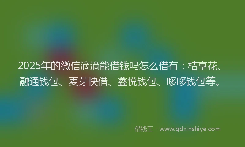 2025年的微信滴滴能借钱吗怎么借有：桔享花、融通钱包、麦芽快借、鑫悦钱包、哆哆钱包等。