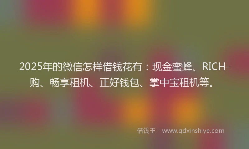 2025年的微信怎样借钱花有：现金蜜蜂、RICH-购、畅享租机、正好钱包、掌中宝租机等。